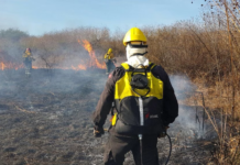 La Municipalidad sofocó otros 5 incendios forestales